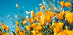 Foto di Sergey Shmidt su Unsplash