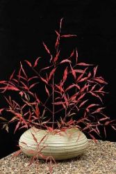 Read more: Big ikebana vase