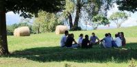 Leggi tutto: Giovani in ricerca