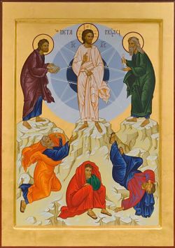 icons of Bose, Transfiguration