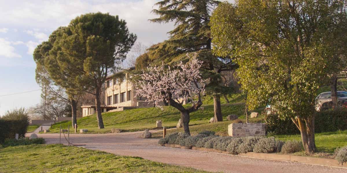 Nitria-con-Albicocco-fiorito