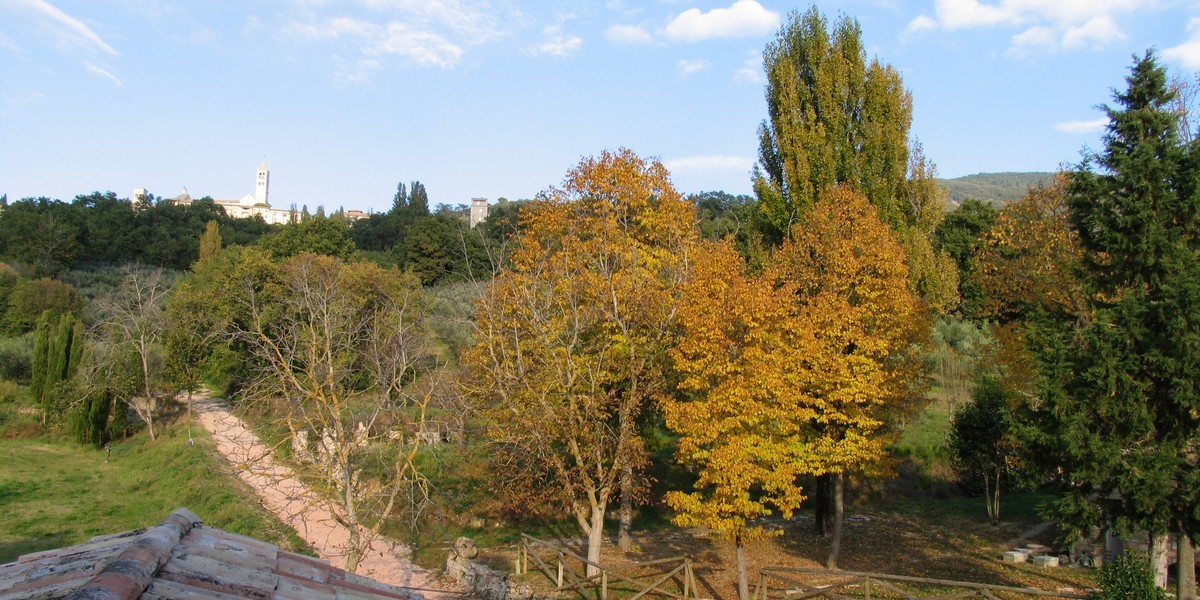 Tigli_in_autunno_7