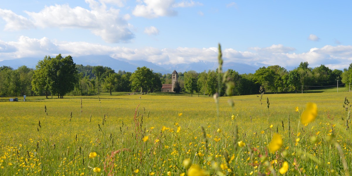 001_001_san_secondo_primavera