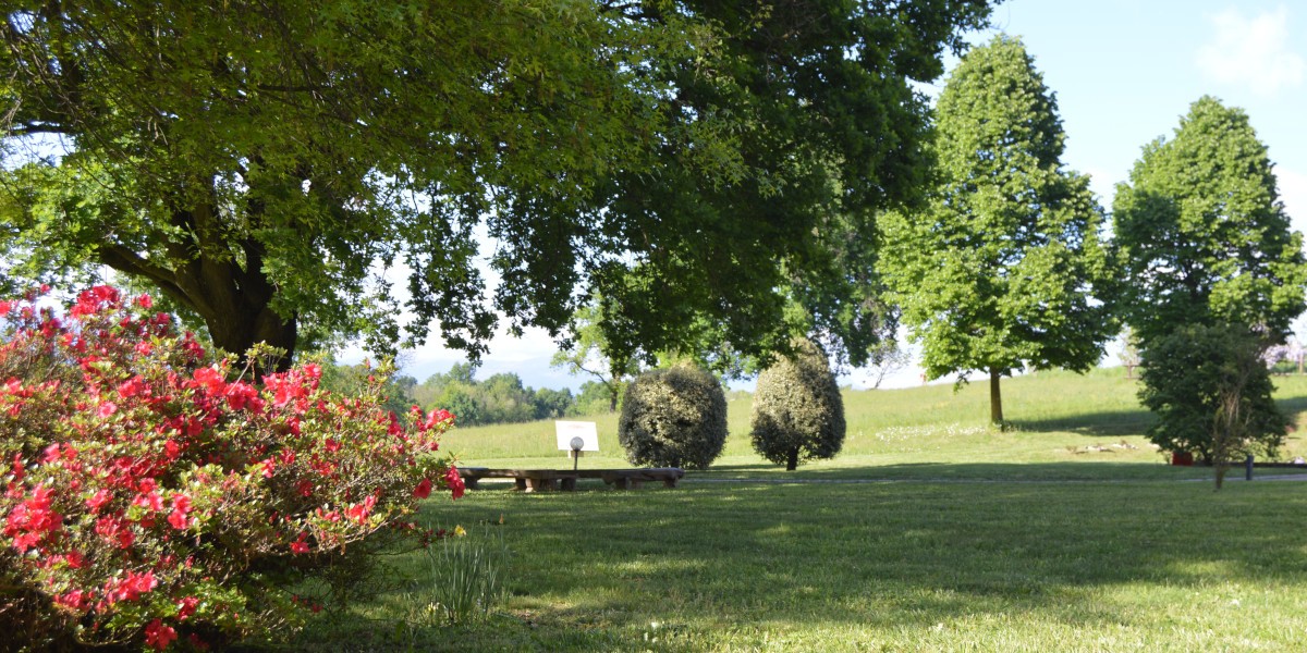 001_002_cortile_ospiti_primavera