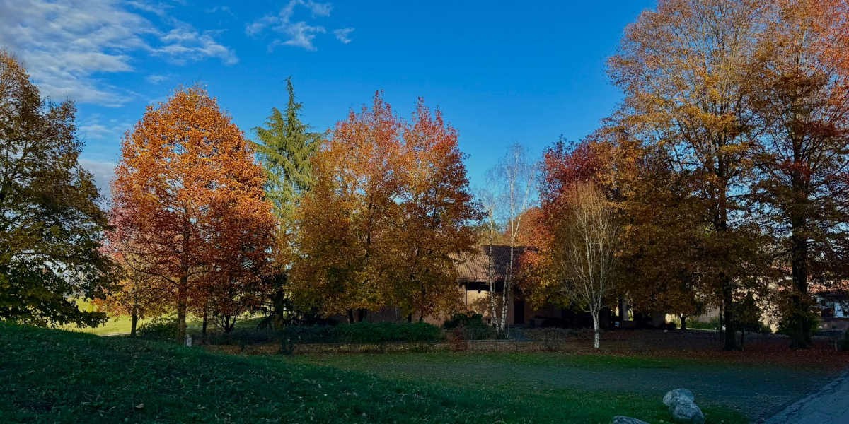 001_25_bose_autunno_1