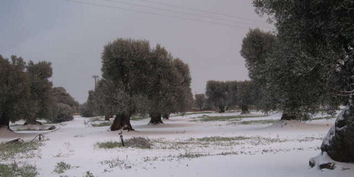 Neve_1