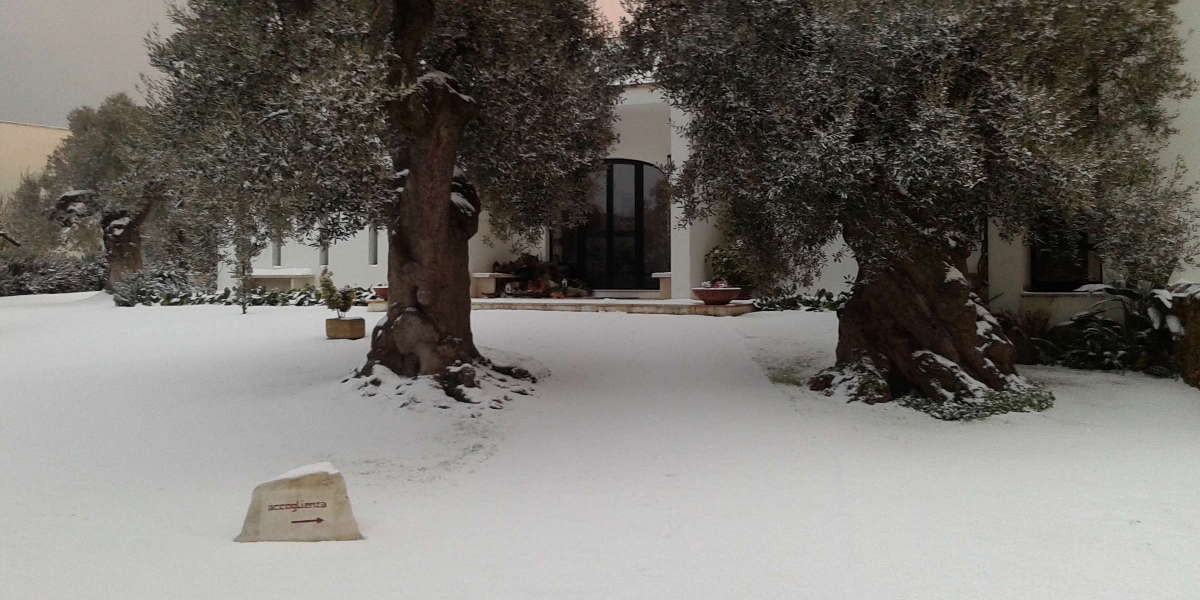 Neve_6