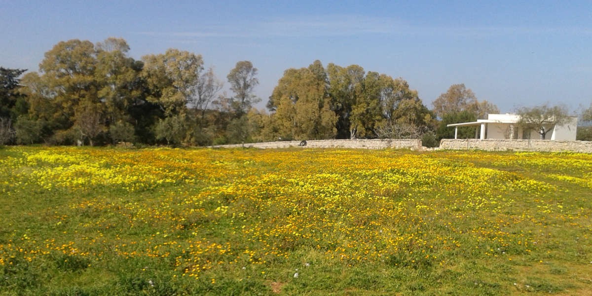 Primavera2019_2