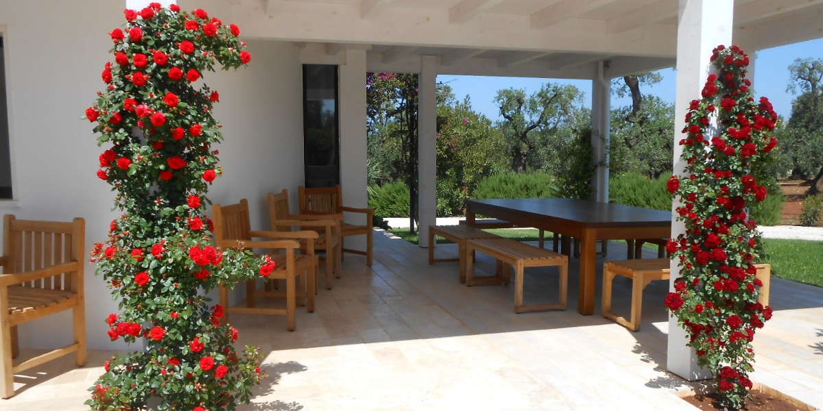 portico_3