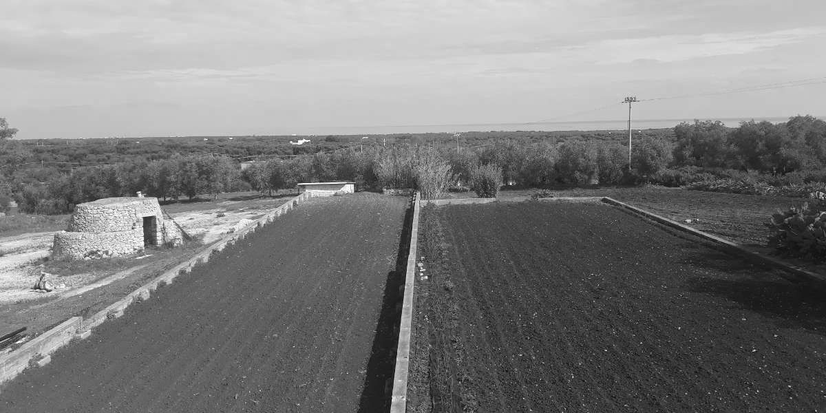 primavera2020_1BN