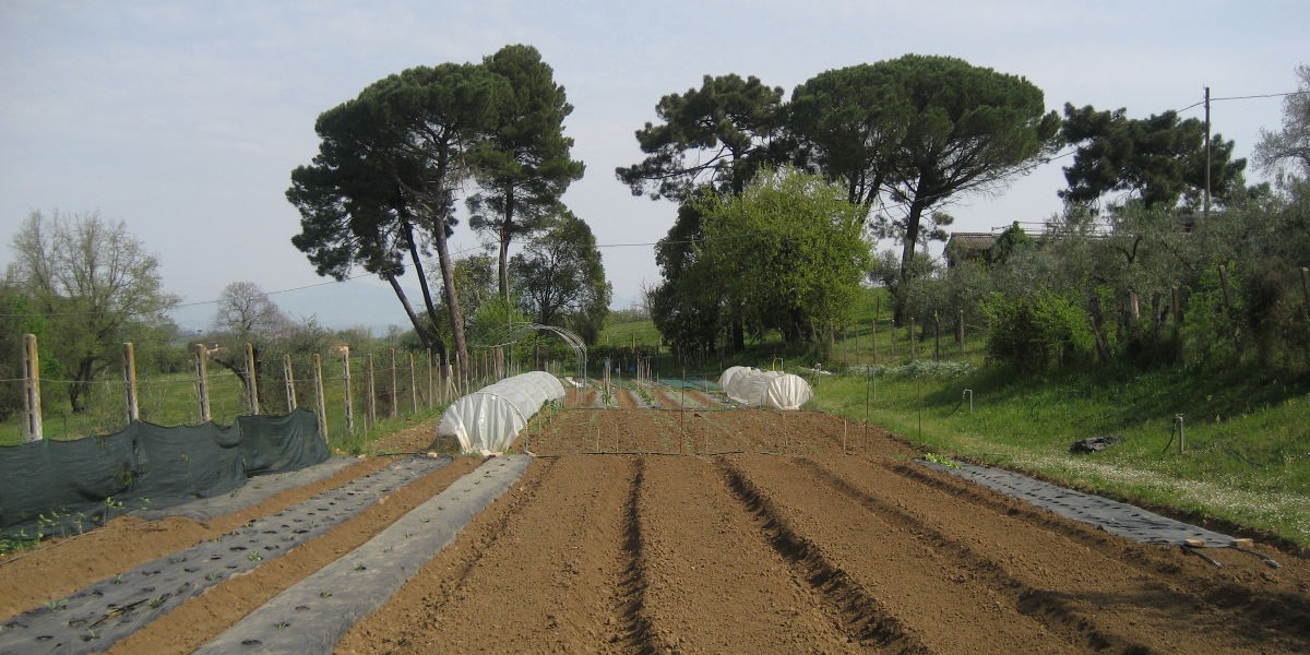 01orto_1200