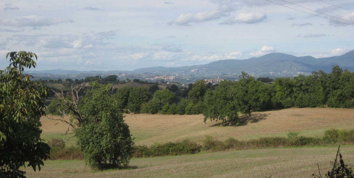 01panorama_1200