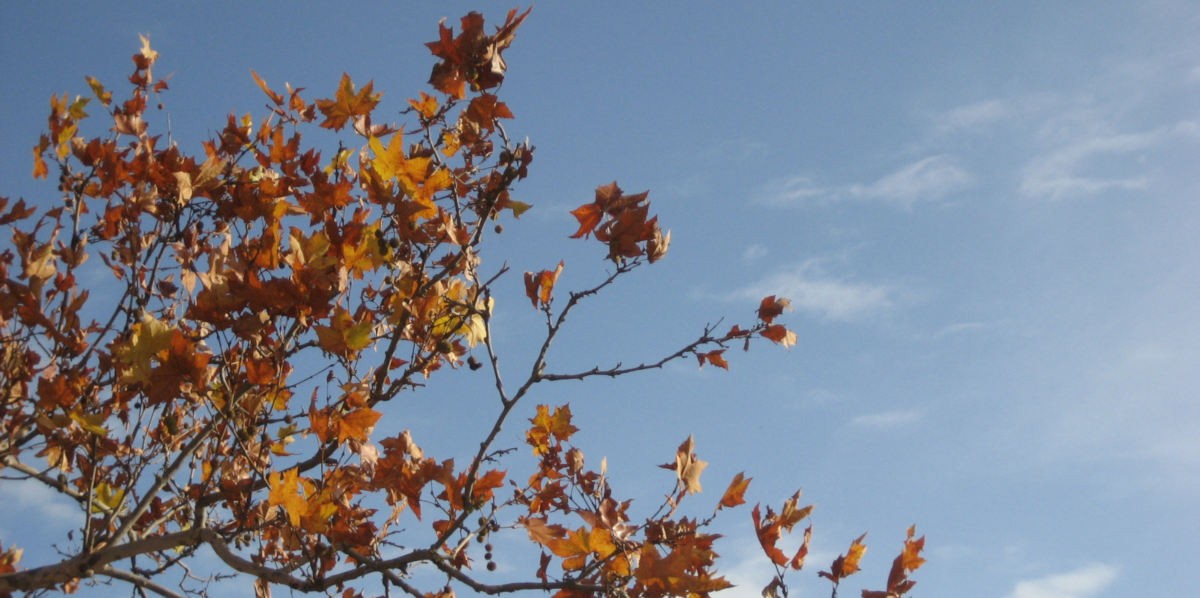 04cielo_autunno_1200