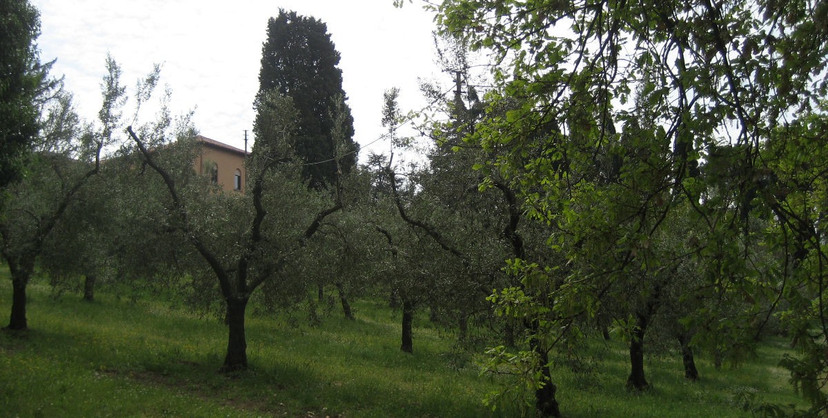 05casa_da_uliveto_1200