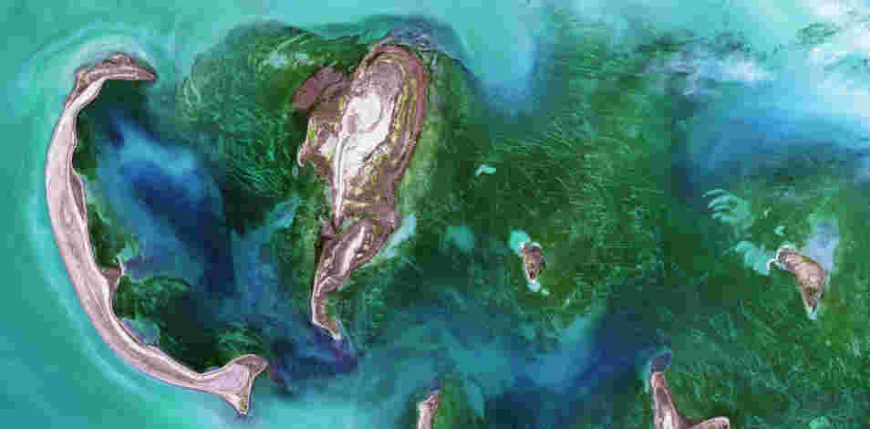 immagine satellitare - Foto di USGS su Unsplash 