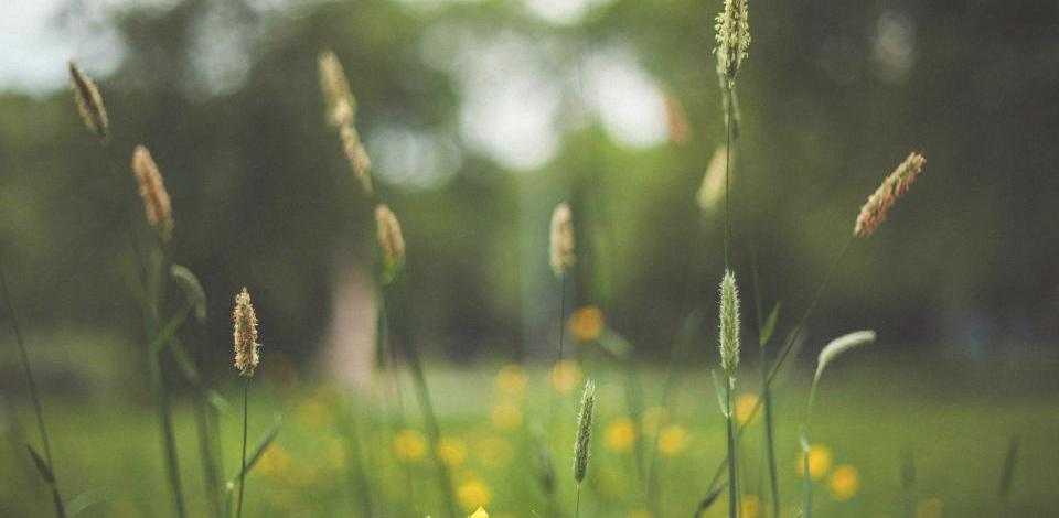 Foto di Nanda Green su Unsplash