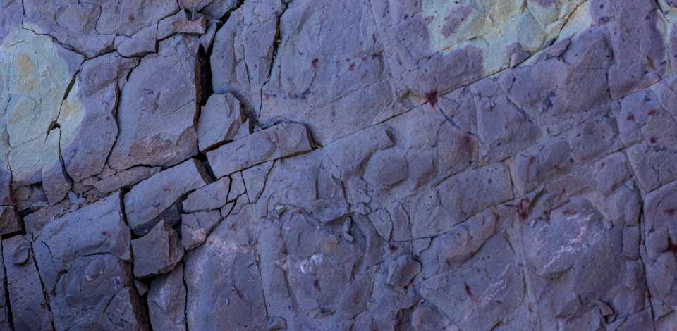 Foti di Brandon Stoll su Unsplash