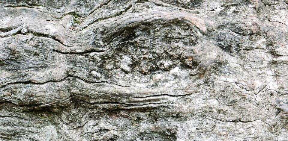 Foto di Amy W su Unsplash