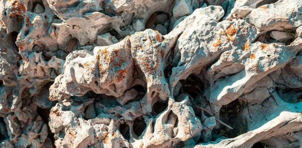 Foto di Jan Kopriva su Unsplash